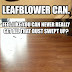 I want a leaf blower