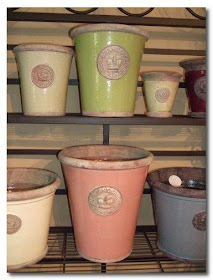 xantippe cowbridge garden pots