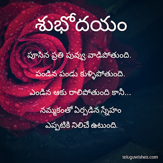 Good Morning Quotes in Telugu