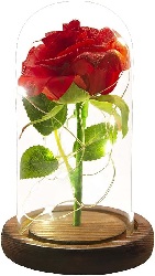 Image: URBANSEASONS Beauty and The Beast Rose, Red Silk Rose That Lasts Forever in a Glass Dome with LED Lights,Gift for Mothers Day Valentine's Day Wedding Anniversary