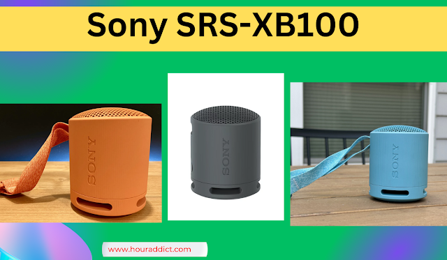 Sony SRS-XB100