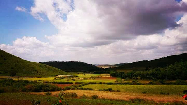 A Beautiful View of Nature at Damanjodi