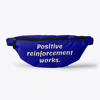 A fanny pack with the text positive reinforcement works.
