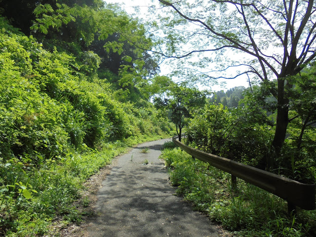 別荘地の方へ登ります