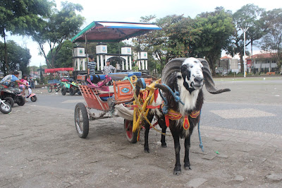 street food alun-alun garut