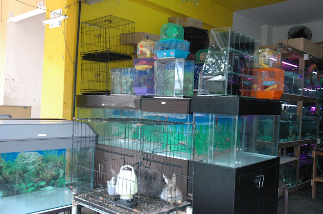 Adlan Aquarium