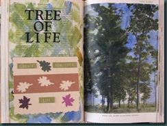 tree of life spread