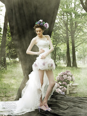 HiLo Short Bridal Wedding Gown