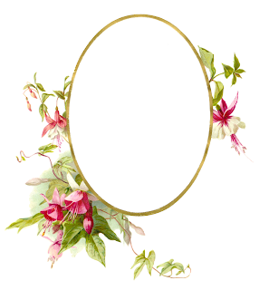 free frame clipart decorative Jasmine flower clipart