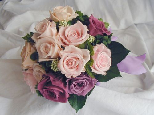 A very romantic wedding bouquet Purple roses with a few pink roses 