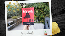 La sentinelle Roz Nay chronique littéraire happybook