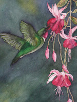 Humming Bird Paintings