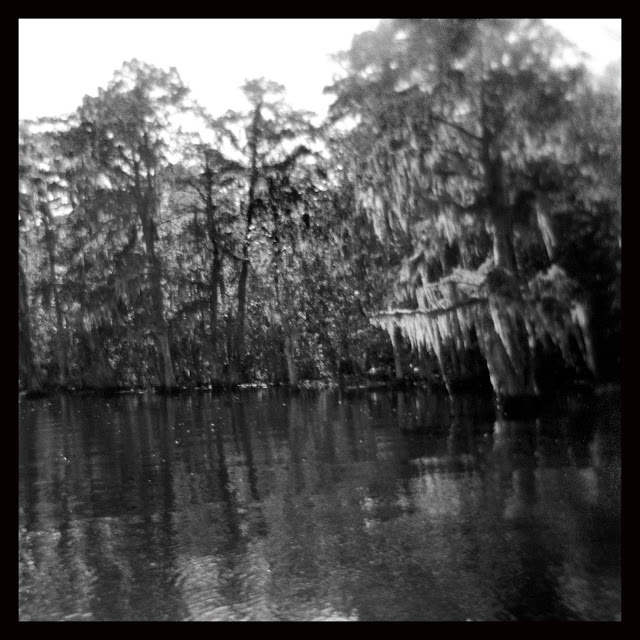 Thibodaux, LA swamp Holga Hickory Ridge Studio