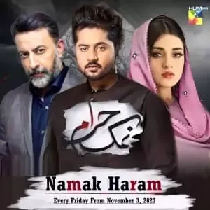 Namak Haram Episode 25