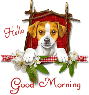 good morning wishes best gif, good morning gif animation, animated good morning images for whatsapp, good morning funny gif animation, good morning gif video, good morning gif with name, good morning animation with sound, good morning gif video download, good morning flowers gif, good morning gif, good morning gif video, good morning gif with name, share chat good morning gif, good morning gif video download, good morning gift, good morning gif hd, good morning flowers, good morning love