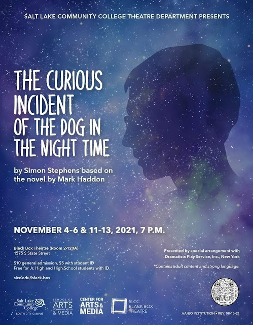 Poster for The Curious Incident of the Dog in the Night-Time.
