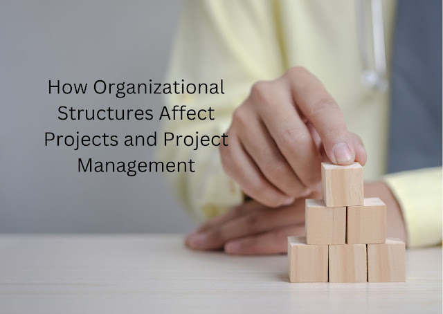 Quang Regan - How Organizational Structures Affect Projects and Project Management