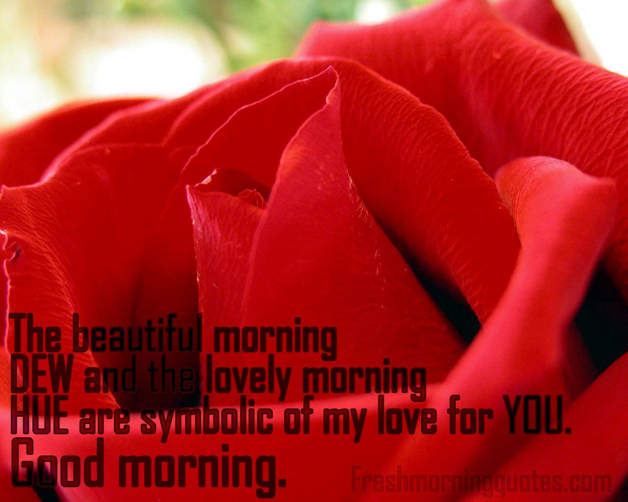 Good Morning Quotes SMS Text Messages in English Really Good Life Quotes