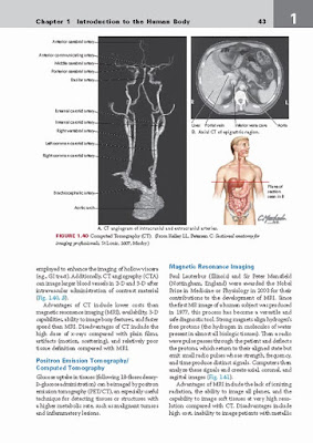 Netter's Clinical Anatomy 4th Edition