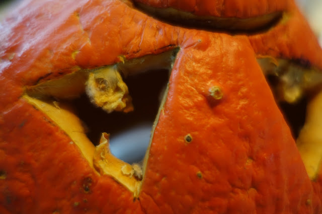 skrumpen pumpa rynkig gammal halloween orange ögon