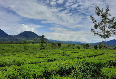 Sambutlah kebersamaan keluarga dalam liburan yang penuh petualangan di Pangalengan, destinasi wisata yang menawarkan keindahan alam yang luar biasa dan beragam kegiatan seru untuk dinikmati bersama