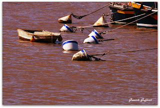 Puerto del Buceo. Montevideo. Uruguay.