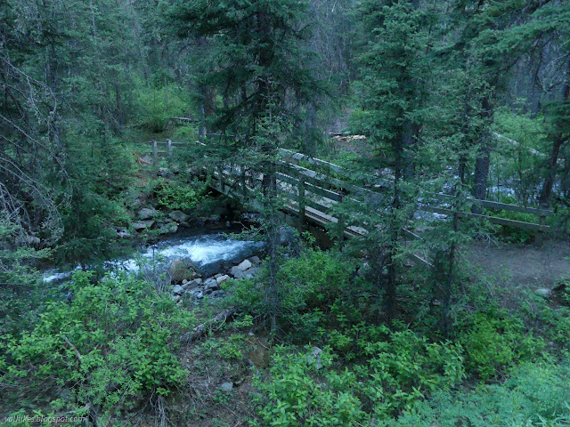 55: bridge over the water