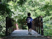 Bridge Into Summer