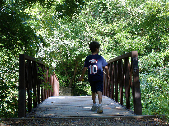 Bridge Into Summer