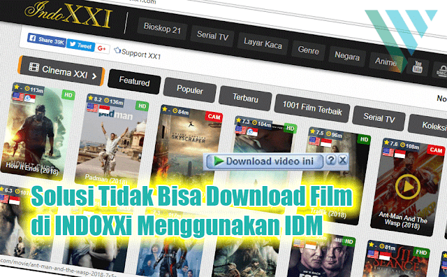 Solusi IDM Yang Tidak Bisa Download Film di Indoxxi