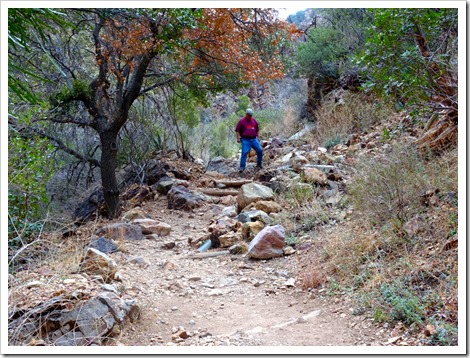 Window Trail...Big Bend
