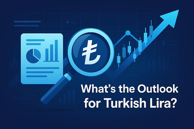 トルコリラの見通しとは？この記事で分かること