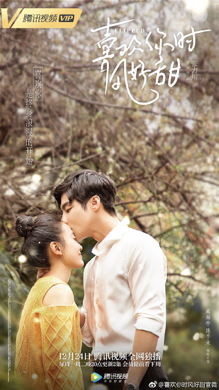 Flipped China Web Drama