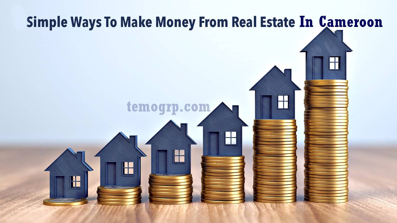 How to Make Money from Real Estate in Cameroon?