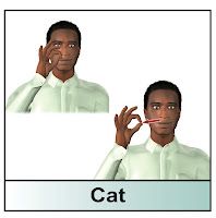 american sign language cat