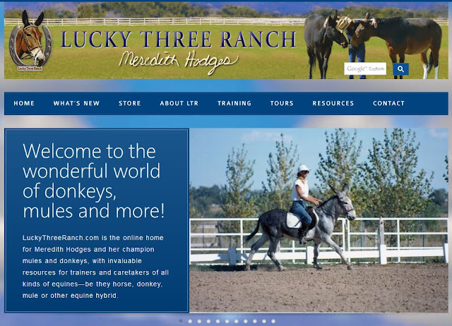 http://luckythreeranch.com/