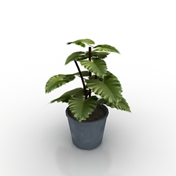 Plant 3D Model