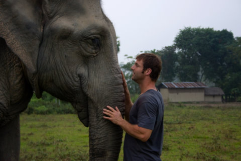 dave salmoni hot. dave salmoni lion.