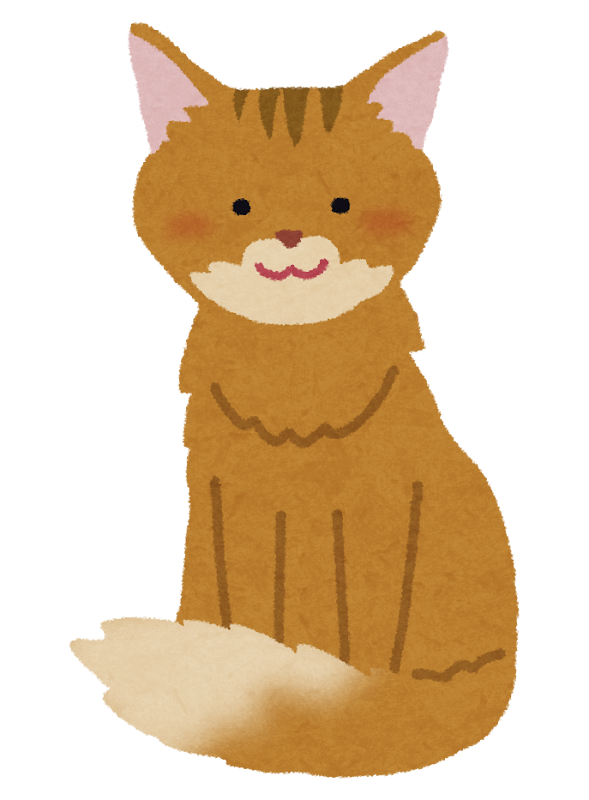 ソマリのイラスト 猫 かわいいフリー素材集 いらすとや