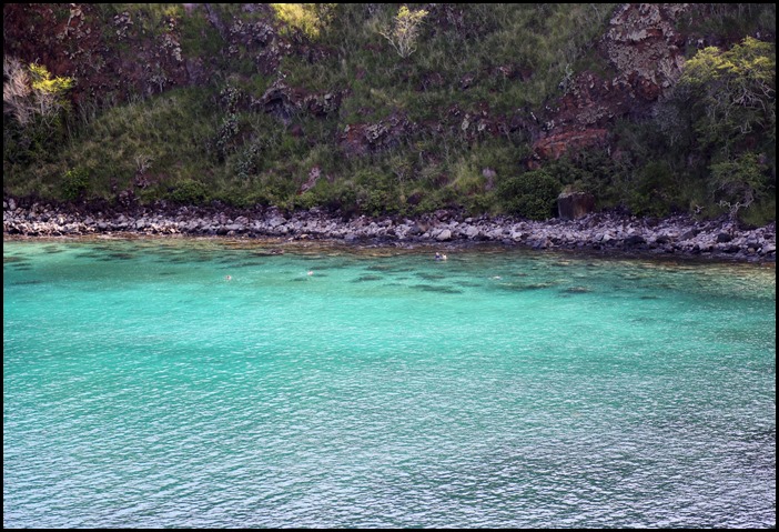 Honolua Bay North Shore Maui 5-19-2013 (2)