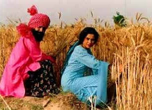 culture of punjab - punjabi peoples, fun and love