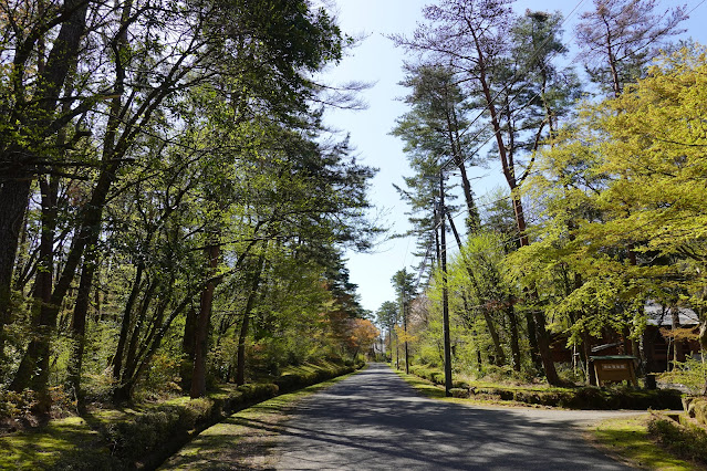 鳥取県西伯郡大山町鈑戸 別荘地