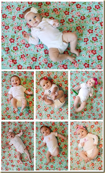 seven month collage