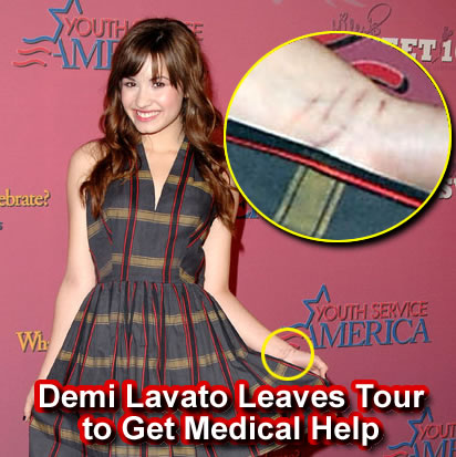 On Monday Disney starlet Demi Lavato abruptly left the Camp Rock Tour 