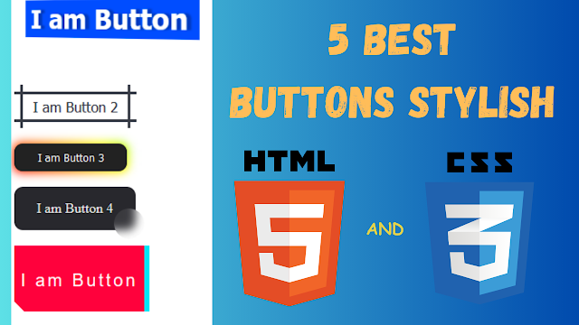 5 Best Button Style in HTML Css