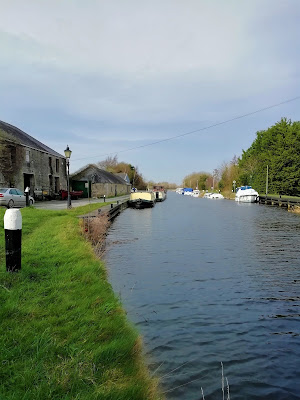 Vicarstown in Laois, Ireland