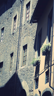 Windows in Tuscany and flower pot