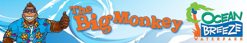 The Big Monkey