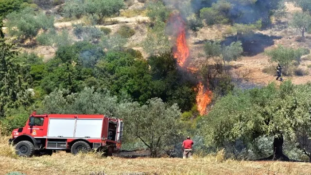 Άμεση κινητοποίηση της πυροσβεστικής για πυρκαγιά στην Αρχαία Νεμέα