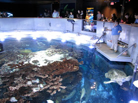 new england aquarium tank